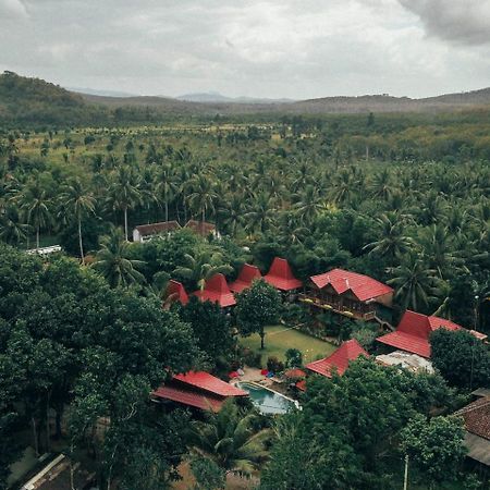 Mojosurf Camp Red Island Hotel Pasanggaran Exterior foto